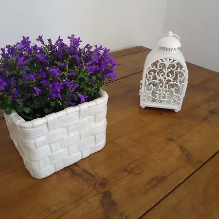 Appartement The Terrace, My Place *