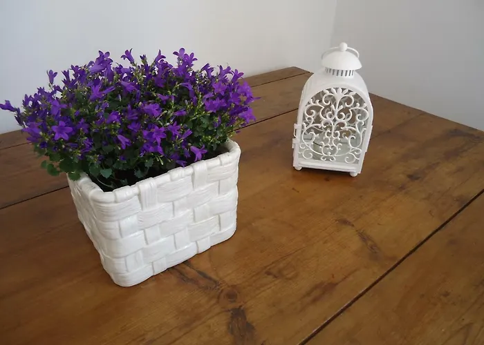 Appartement The Terrace, My Place *